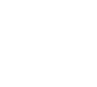 Search Icon